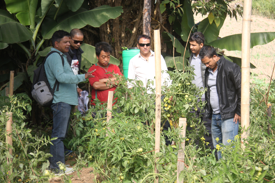 Photo 4 Technical expert Rajan Gaire interacting with a farmer in Kot Timal