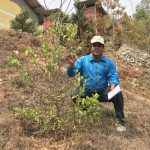 PAX EARTH TEAM OBSERVED FRUIT GARDEN PROJECT IN KAVRE
