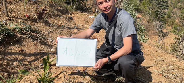 PAX EARTH JAPAN PRESIDENT OBSERVED THE FRUIT TREES AND SOIL CEMENT PONDS IN KAVRE