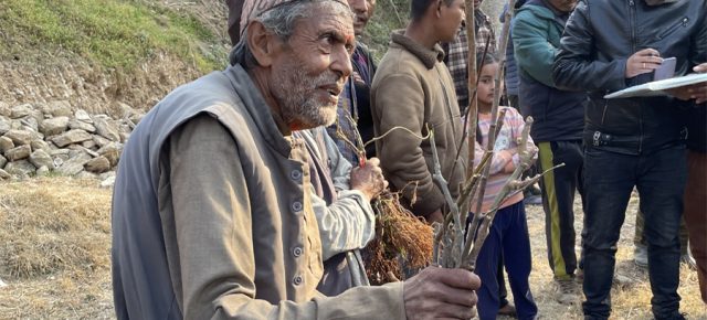 PAX EARTH DISTRIBUTED 400 FRUIT SAPLINGS IN KAVRE